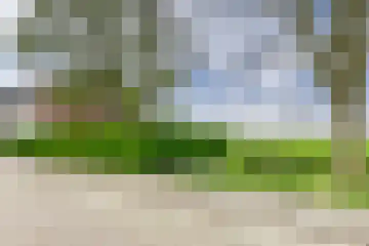 Hoogaars 70 Brielle thumbnail 4