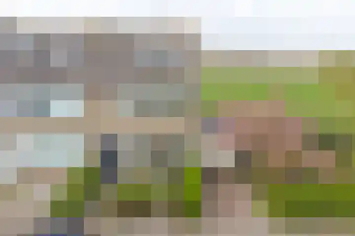 Hoogaars 70 Brielle thumbnail 43