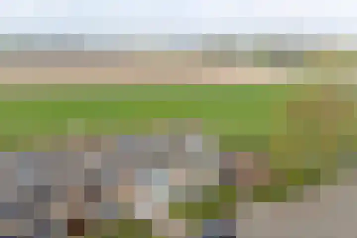 Hoogaars 70 Brielle thumbnail 44
