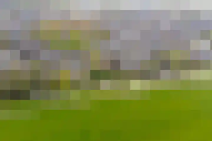 Hoogaars 70 Brielle thumbnail 47
