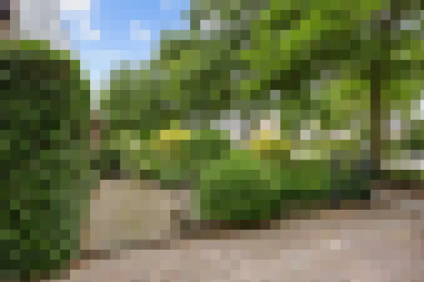 Hoogaarshof 6 Harlingen thumbnail 11