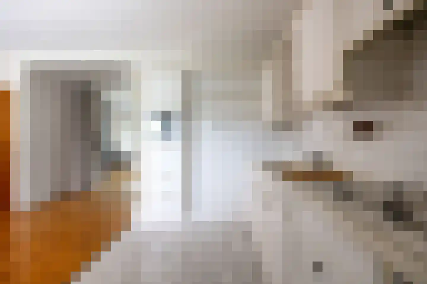 Hoogaarshof 6 Harlingen thumbnail 25