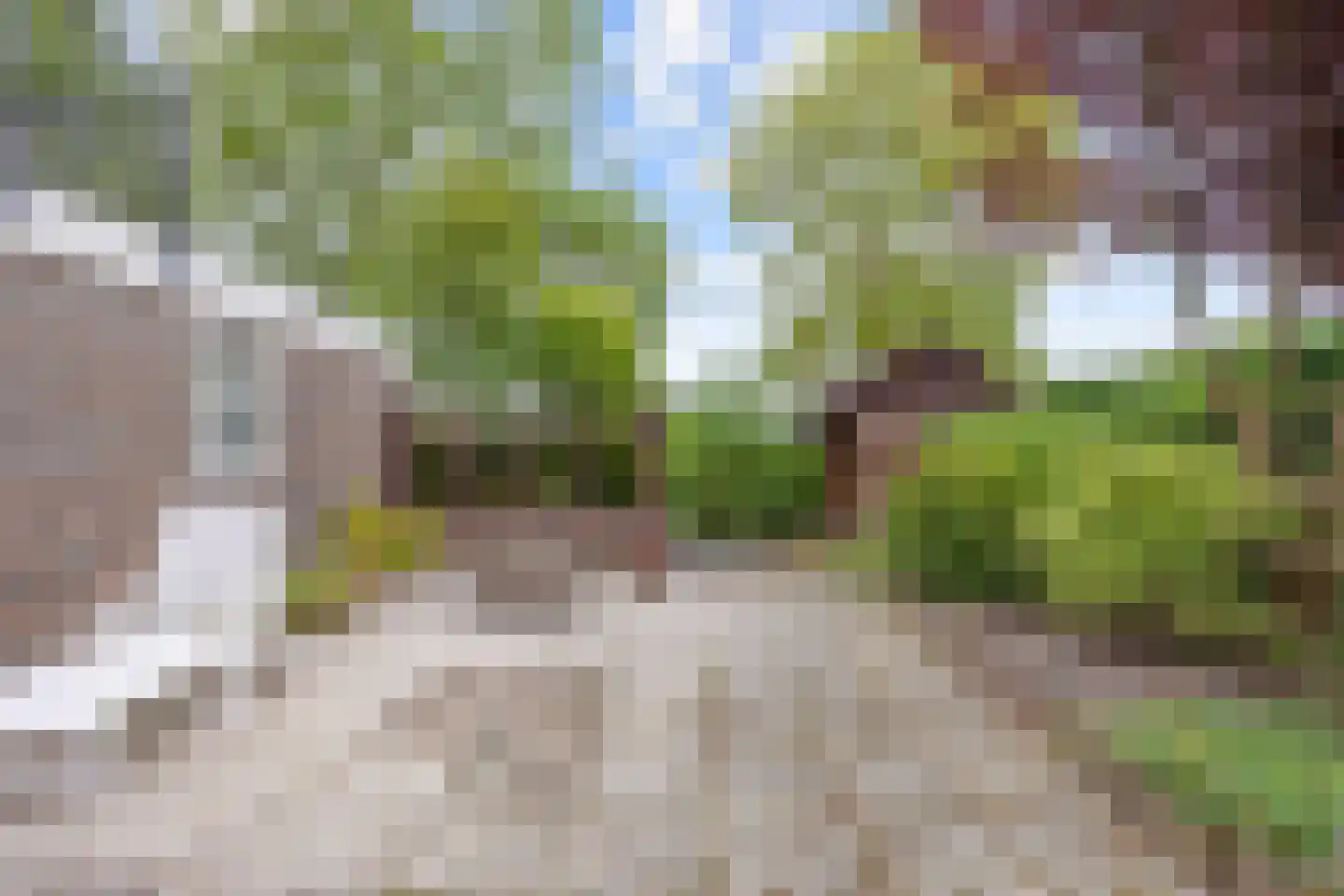Hoogaarshof 6 Harlingen thumbnail 30