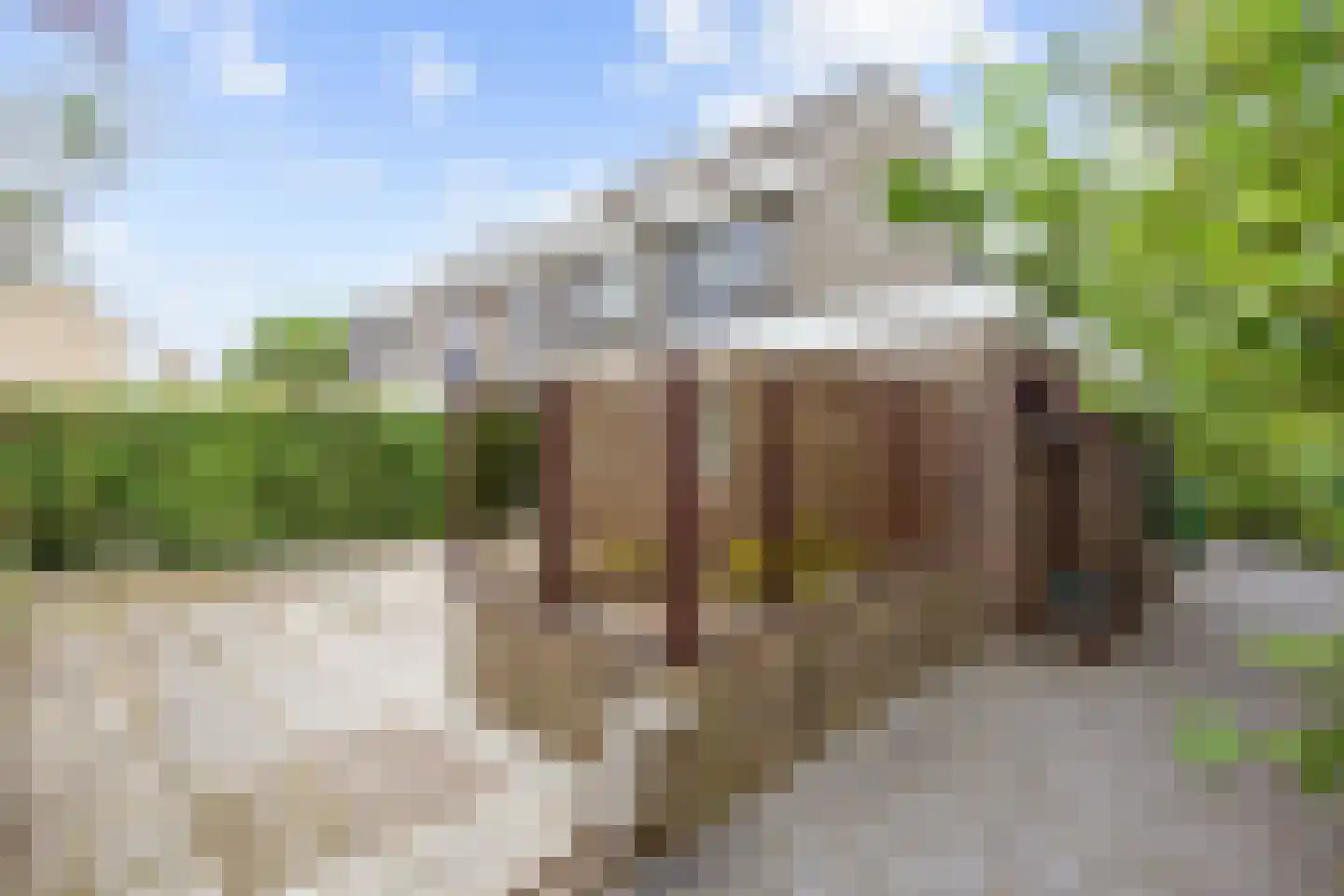 Hoogaarshof 6 Harlingen thumbnail 33