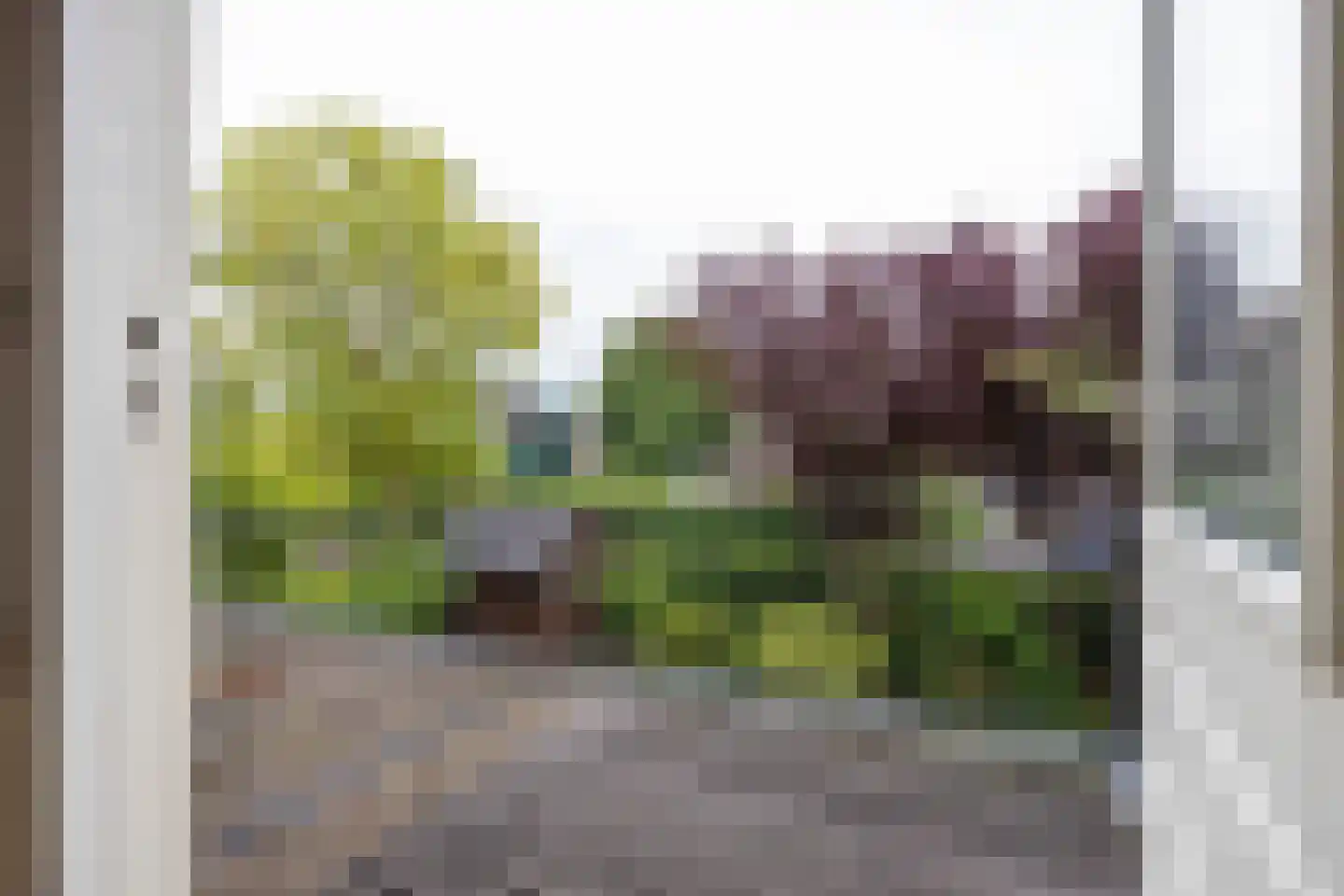 Hoogaarshof 6 Harlingen thumbnail 40