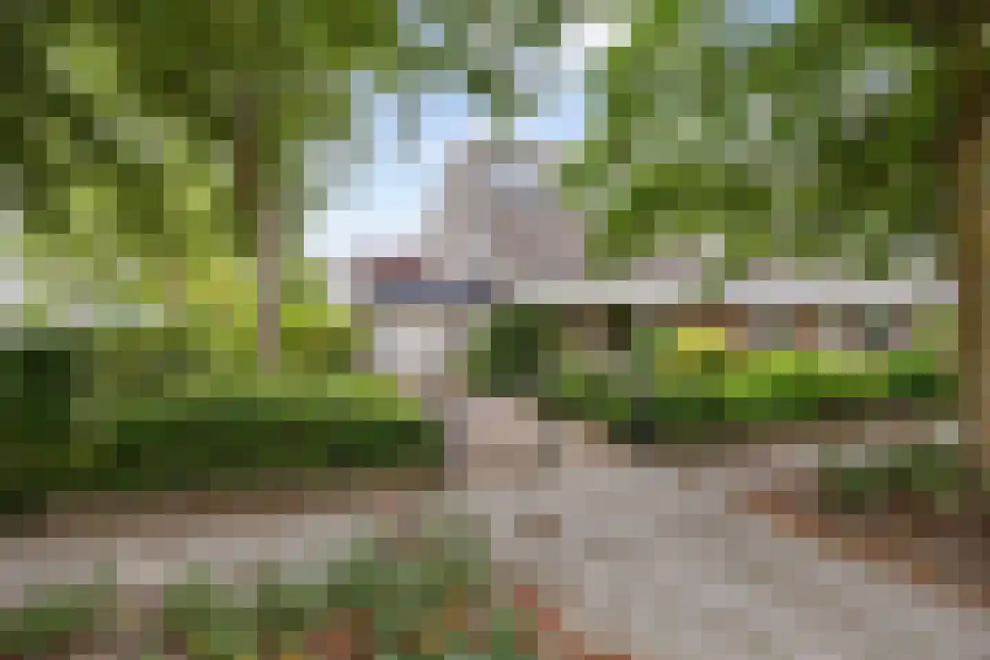 Hoogaarshof 6 Harlingen thumbnail 53