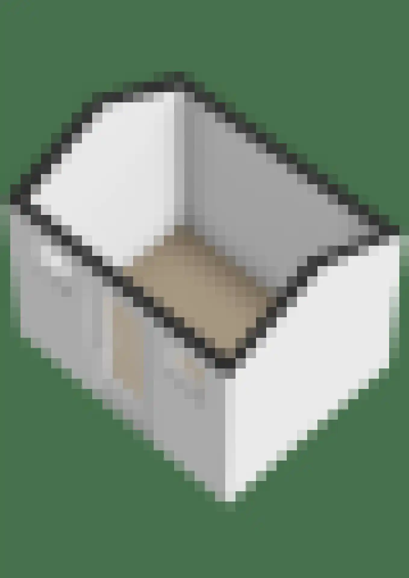 Hoogaarshof 6 Harlingen thumbnail 62