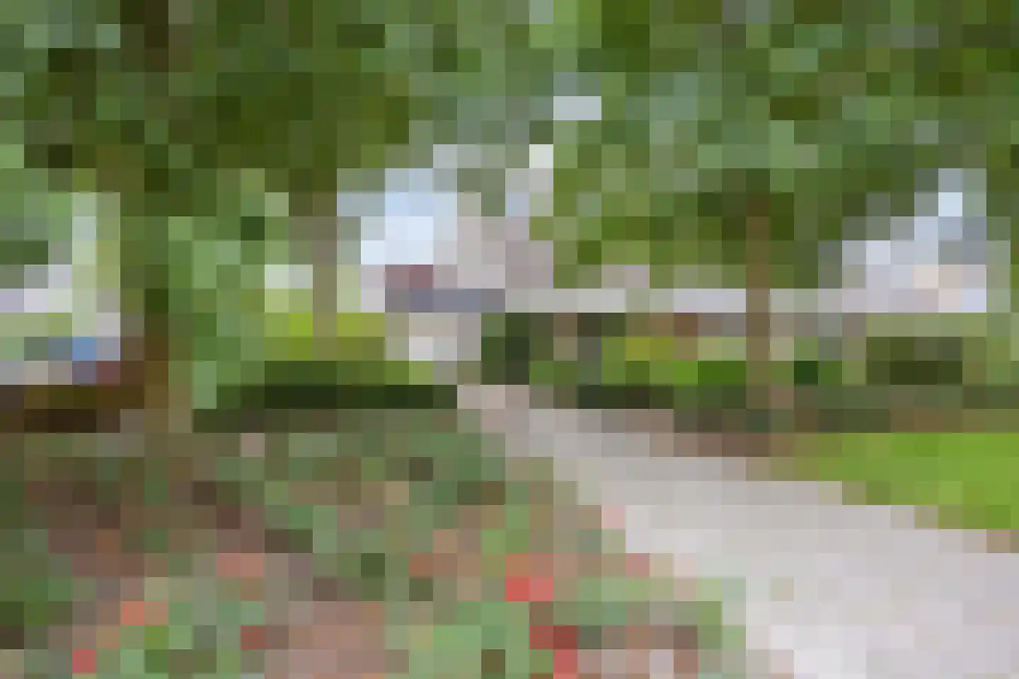 Hoogaarshof 6 Harlingen thumbnail 8