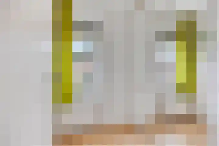 Hoogaarskade 11 Zoetermeer thumbnail 16