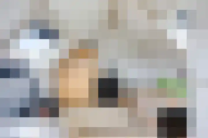 Hoogaarskade 11 Zoetermeer thumbnail 18