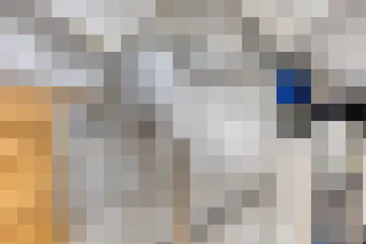 Hoogaarskade 11 Zoetermeer thumbnail 19