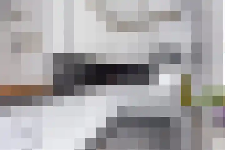 Hoogaarskade 11 Zoetermeer thumbnail 8