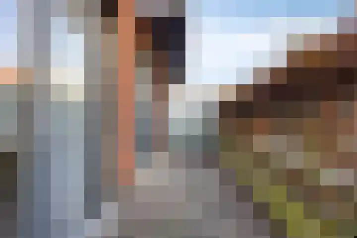 Hoogaarslaan 109 Zaandam thumbnail 22