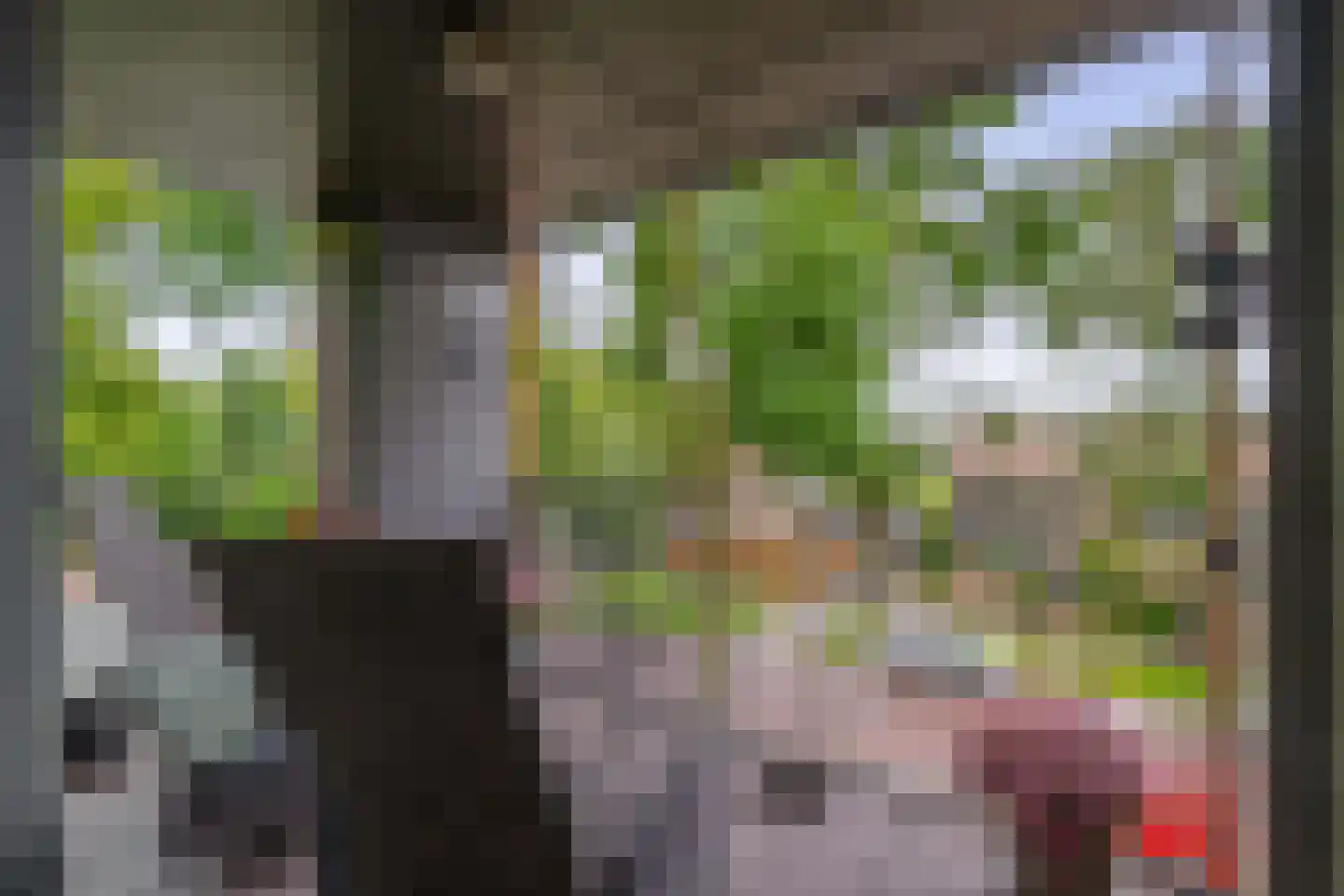 Hoogaarslaan 123 Zaandam thumbnail 16