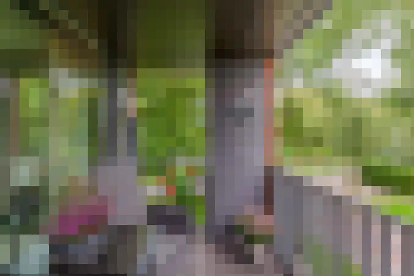Hoogaarslaan 123 Zaandam thumbnail 17