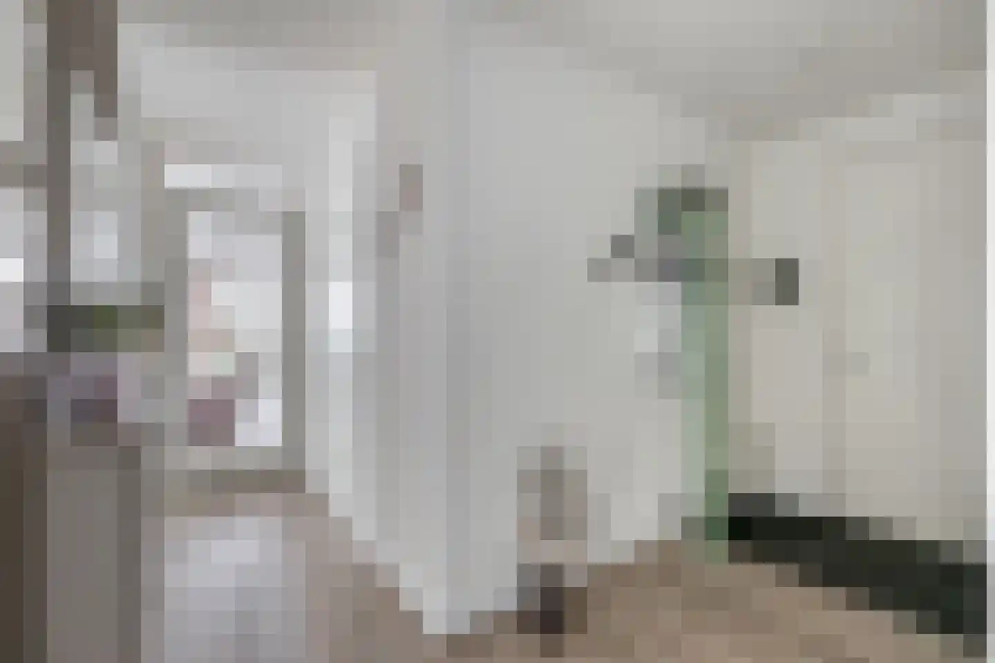 Hoogaarslaan 123 Zaandam thumbnail 29