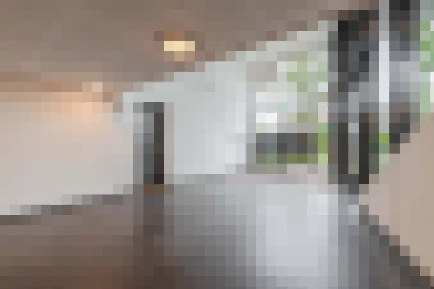 Hoogaarslaan 123 Zaandam thumbnail 40