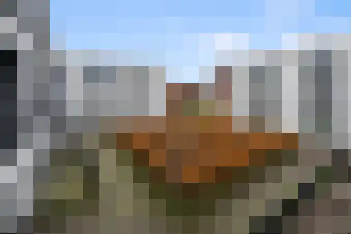 Hoogaarslaan 127 Zaandam thumbnail 20