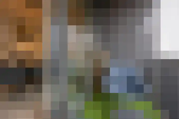 Hoogaarslaan 127 Zaandam thumbnail 21