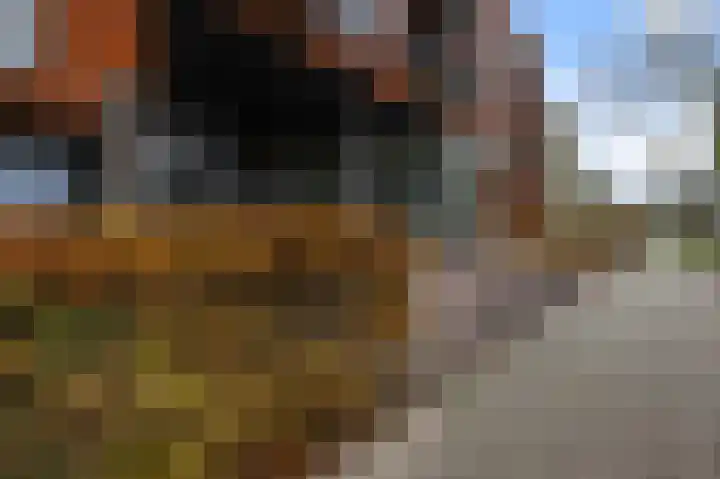 Hoogaarslaan 127 Zaandam thumbnail 34
