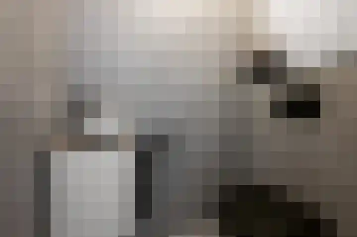 Hoogaarslaan 127 Zaandam thumbnail 9