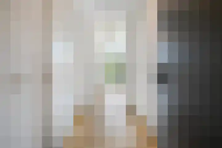 Hoogaarslaan 149 Zaandam thumbnail 11