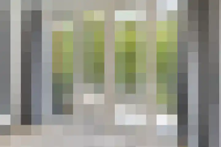 Hoogaarslaan 149 Zaandam thumbnail 17