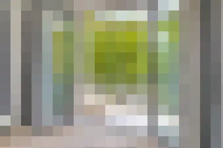 Hoogaarslaan 149 Zaandam thumbnail 18
