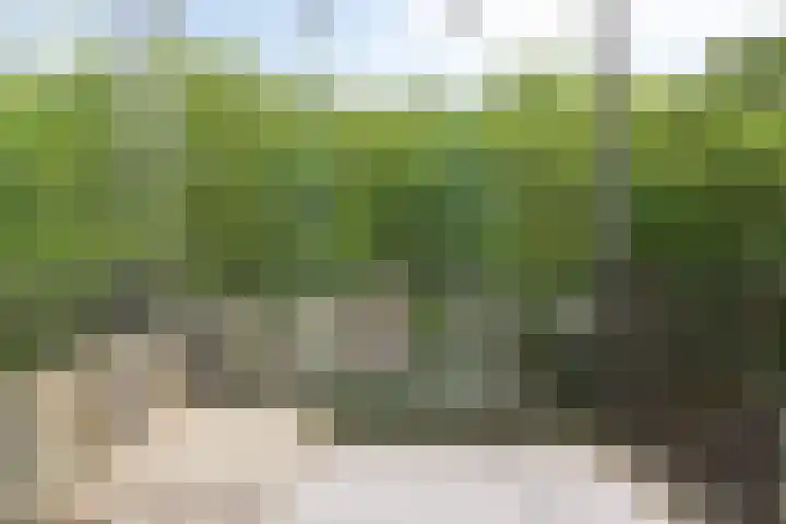 Hoogaarslaan 149 Zaandam thumbnail 24