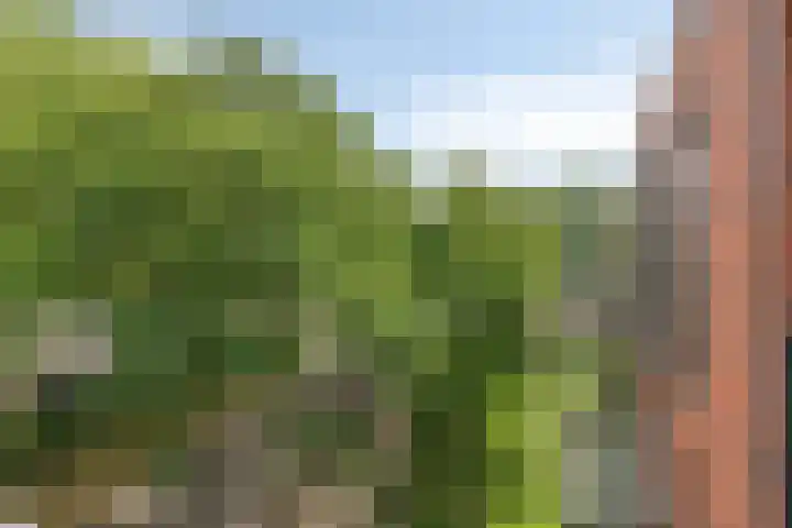 Hoogaarslaan 149 Zaandam thumbnail 26