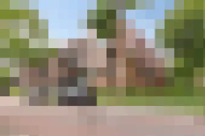 Hoogaarslaan 149 Zaandam thumbnail 5