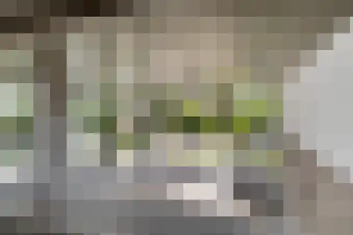Hoogaarslaan 149 Zaandam thumbnail 7