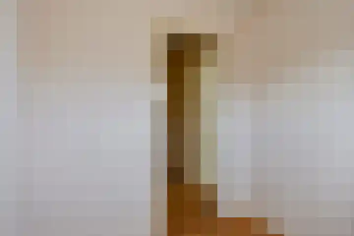 Hoogaarslaan 17 Nieuw-Lekkerland thumbnail 15