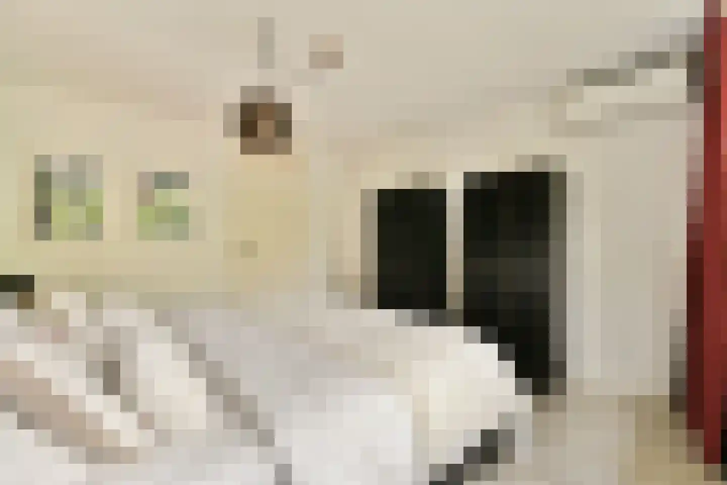 Hoogaarslaan 18 Zaandam thumbnail 23