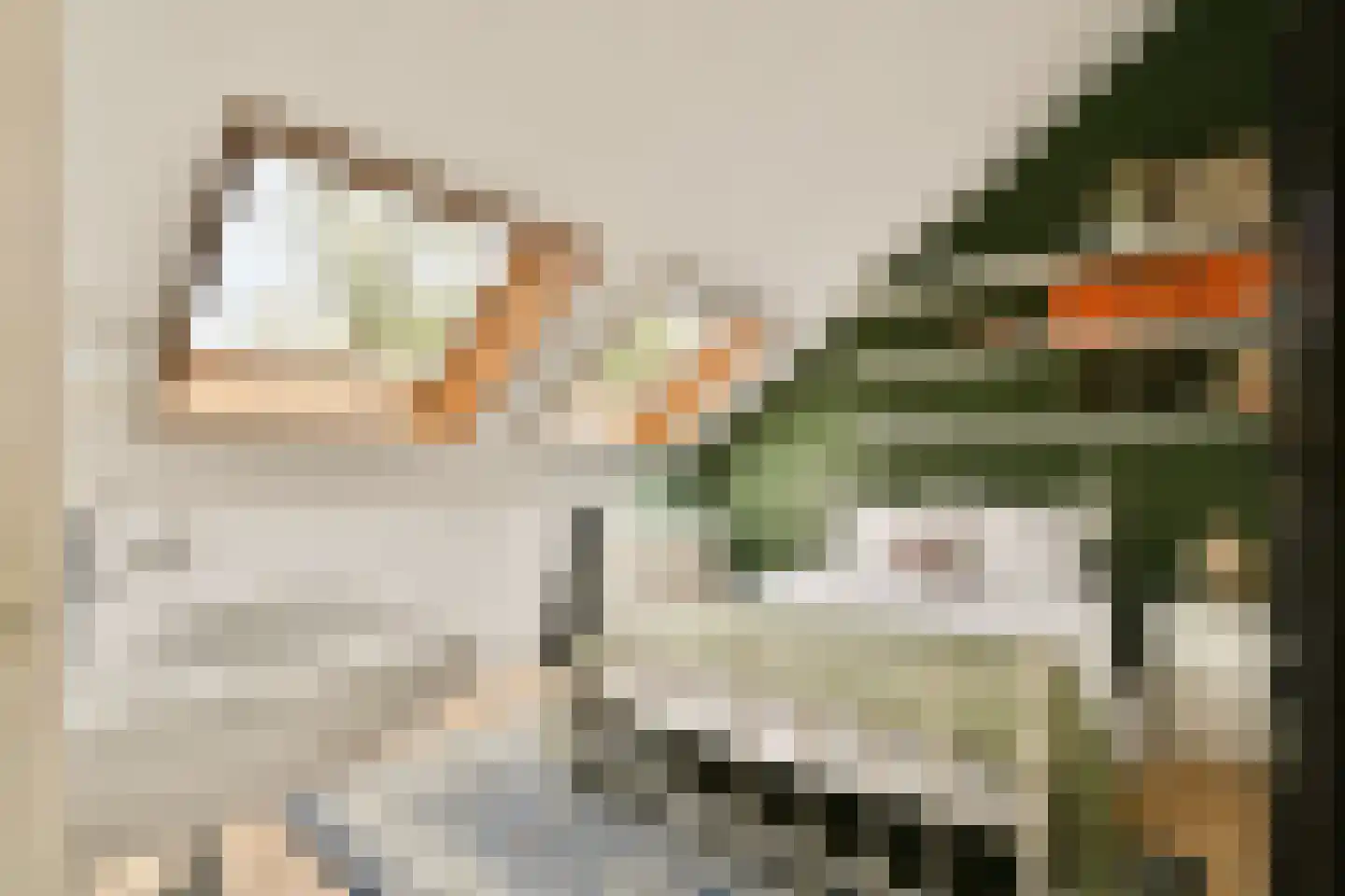 Hoogaarslaan 18 Zaandam thumbnail 33