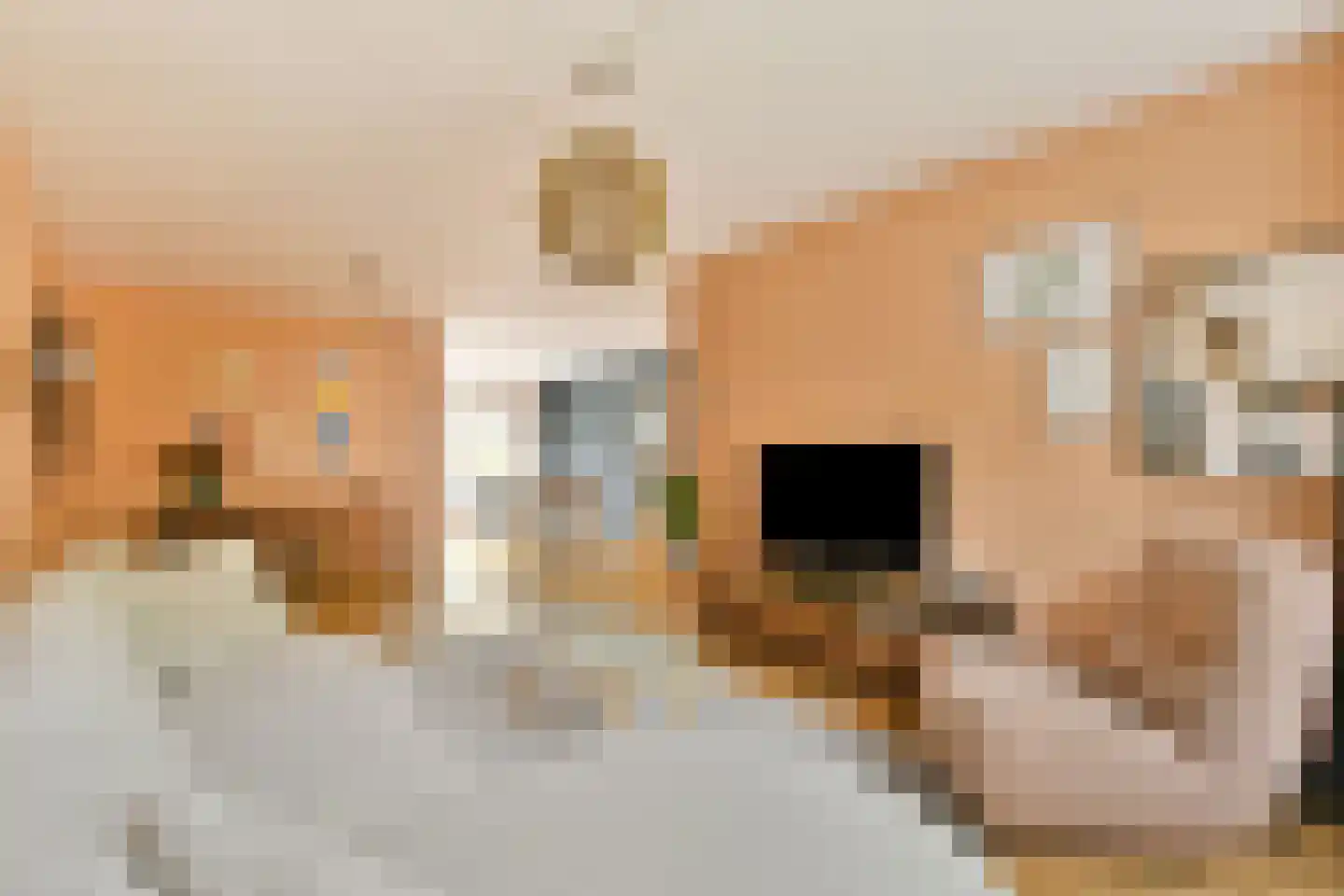 Hoogaarslaan 18 Zaandam thumbnail 6