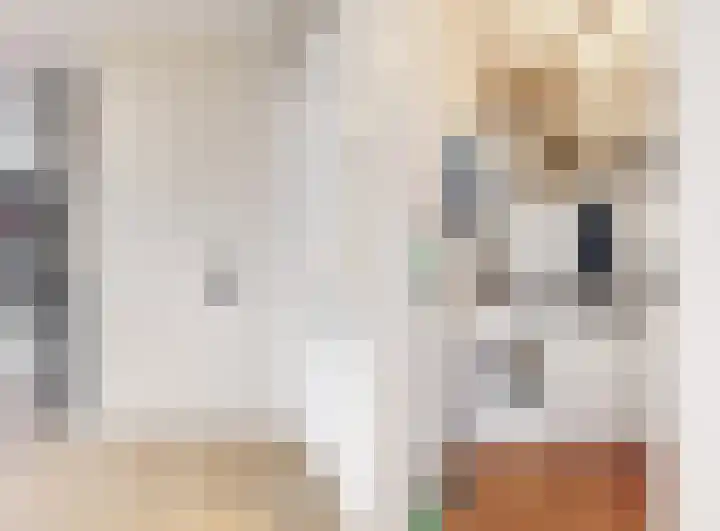 Hoogaarslaan 45 Zaandam thumbnail 15