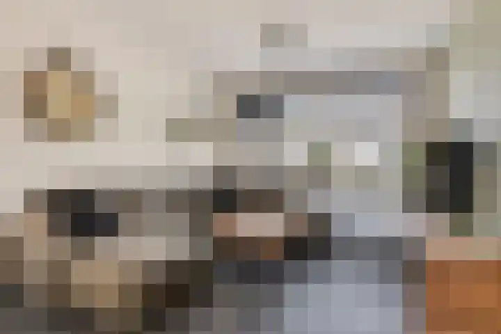 Hoogaarsstraat 13 Bruinisse thumbnail 10