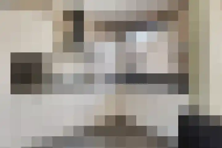 Hoogaarsstraat 13 Bruinisse thumbnail 13