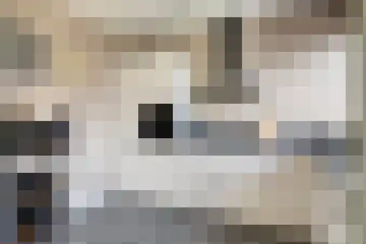 Hoogaarsstraat 13 Bruinisse thumbnail 14