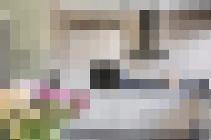 Hoogaarsstraat 13 Bruinisse thumbnail 16