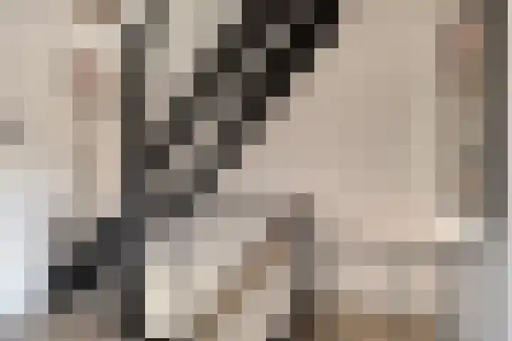 Hoogaarsstraat 13 Bruinisse thumbnail 18