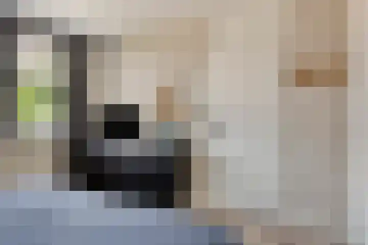 Hoogaarsstraat 13 Bruinisse thumbnail 24