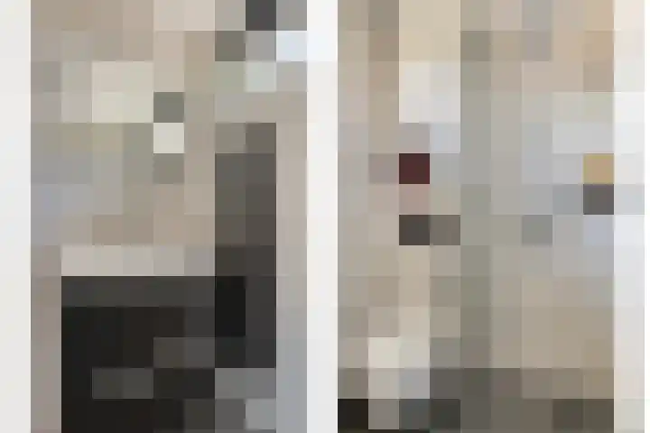 Hoogaarsstraat 13 Bruinisse thumbnail 27