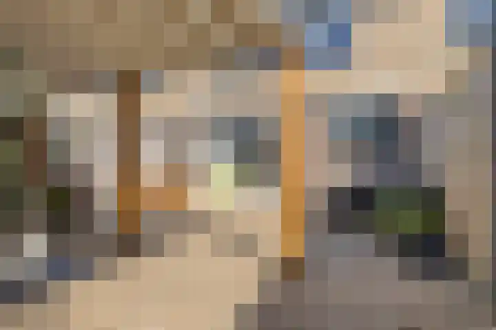Hoogaarsstraat 13 Bruinisse thumbnail 36