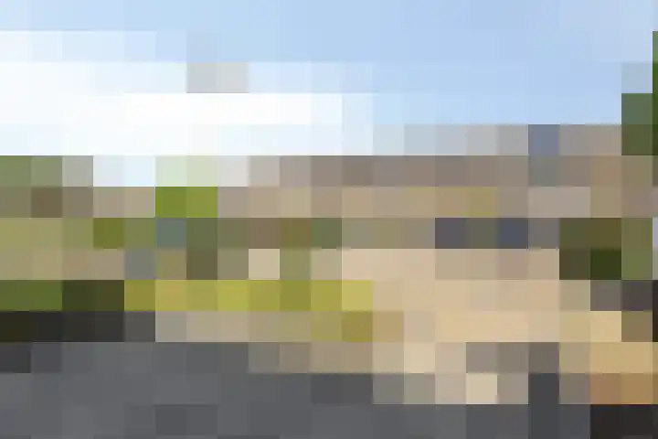 Hoogaarsstraat 13 Bruinisse thumbnail 38