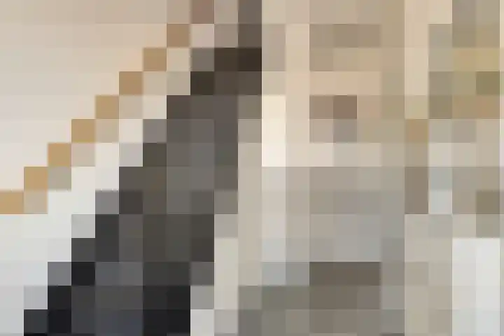 Hoogaarsstraat 13 Bruinisse thumbnail 4