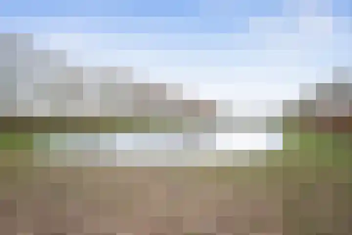 Hoogaarsstraat 13 Bruinisse thumbnail 44
