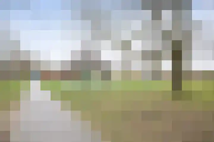 Hoogaarsstraat 13 Bruinisse thumbnail 45
