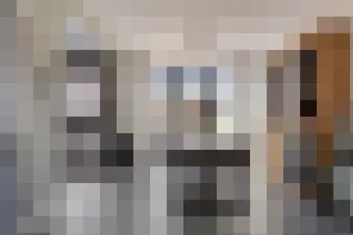 Hoogaarsstraat 13 Bruinisse thumbnail 7